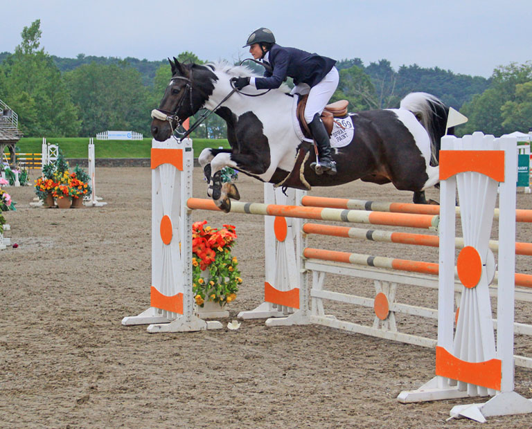 Horse Jumping 6 2   P OMalley